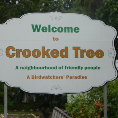 Crooked Tree Becks Bed & Breakfast المظهر الخارجي الصورة