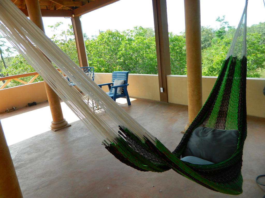 Crooked Tree Becks Bed & Breakfast المظهر الخارجي الصورة