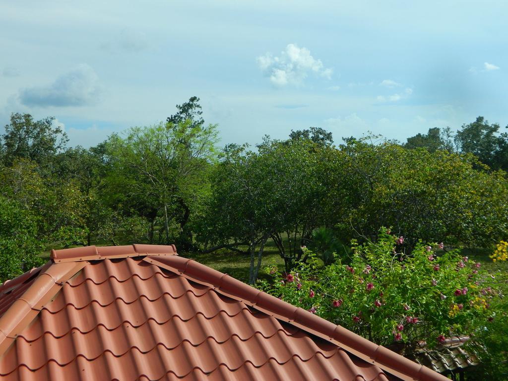 Crooked Tree Becks Bed & Breakfast المظهر الخارجي الصورة