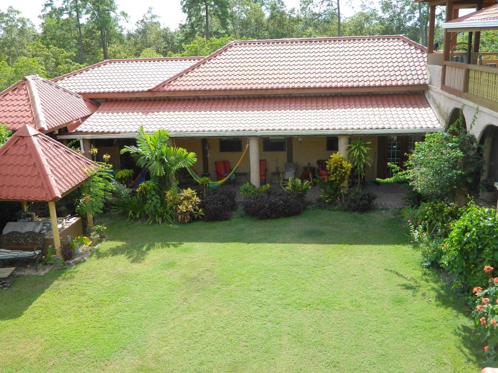 Crooked Tree Becks Bed & Breakfast المظهر الخارجي الصورة
