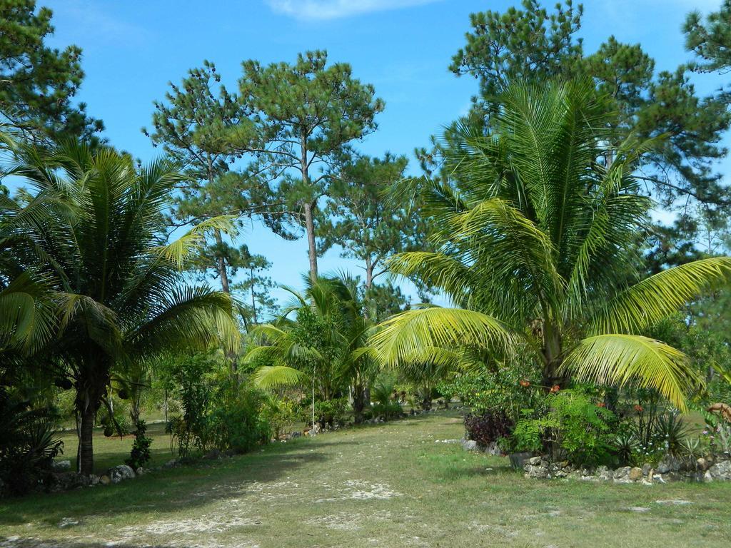 Crooked Tree Becks Bed & Breakfast المظهر الخارجي الصورة
