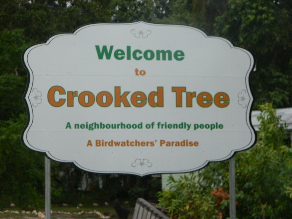 Crooked Tree Becks Bed & Breakfast المظهر الخارجي الصورة