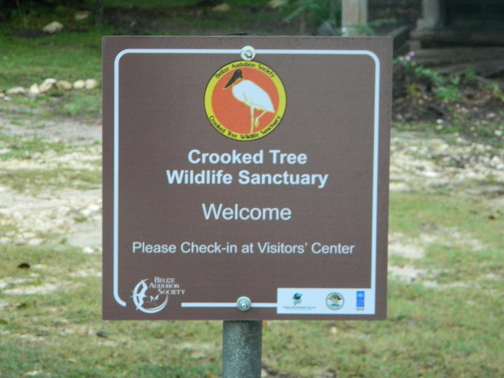Crooked Tree Becks Bed & Breakfast المظهر الخارجي الصورة